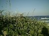 -tn-IMAG0022
