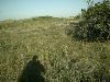 -tn-IMAG0026
