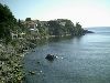 -tn-IMAG0187
