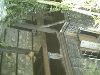 -tn-IMAG0191