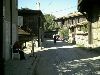 -tn-IMAG0194