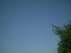 -tn-IMAG0209