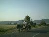 -tn-IMAG0091